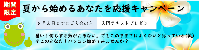 夏のキャンペーン